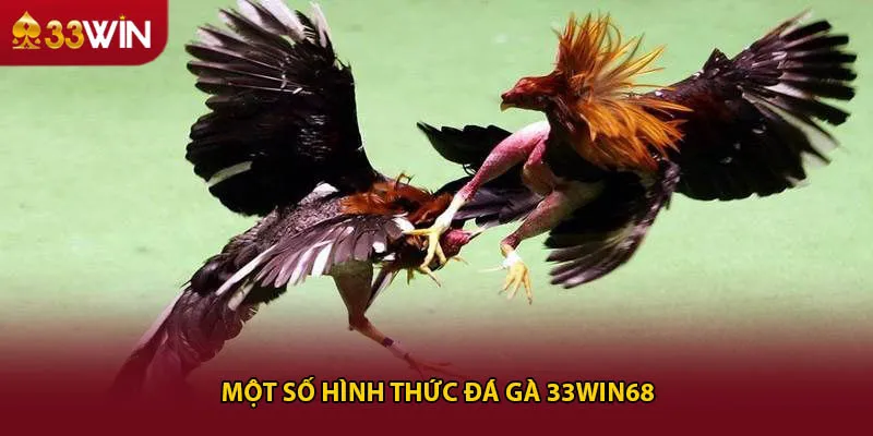 Một số hình thức đá gà 33win68